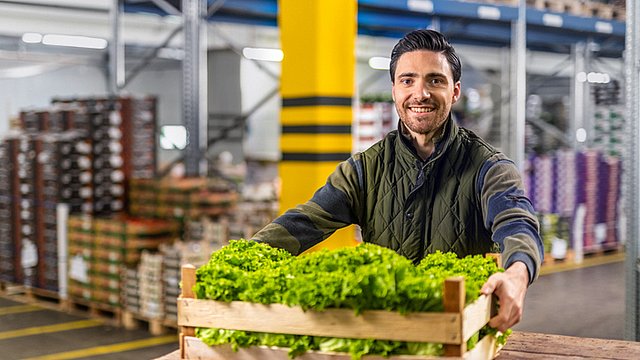 Fruchtgroßhändler mit Kiste Salaten