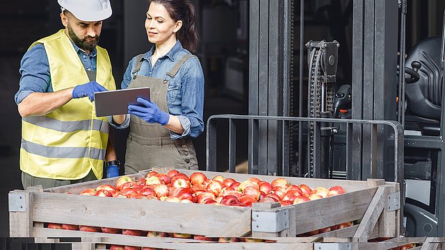 Landwirt liefert Äpfel an Fruchtgroßhändlerin