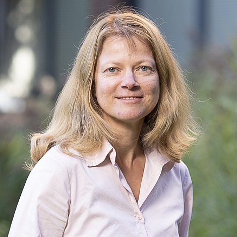 Starte deine Karriere als Professional bei B.i.Team.