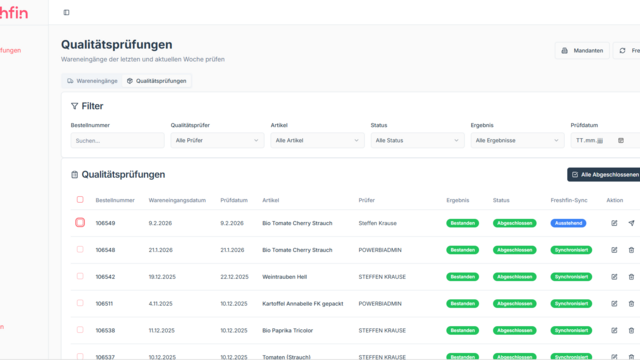 Screenshot App KI-gestützte Qualitätsprüfung: Synchronisation mit Freshfin