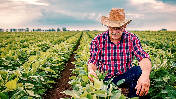 Einkauf und Qualitätsmanagement im Fruchtgroßhandel