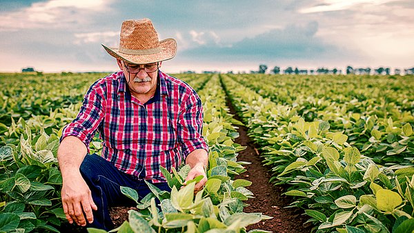 Freshfin digitalisiert den Einkauf, das Qualitätsmanagement und die Beschaffungsprozesse im Fruchtgroßhandel