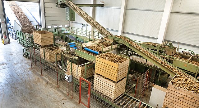 Kartoffelanlieferung bei Agropa