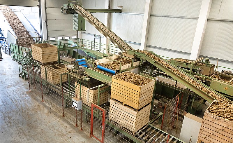 Kartoffelanlieferung bei Agropa