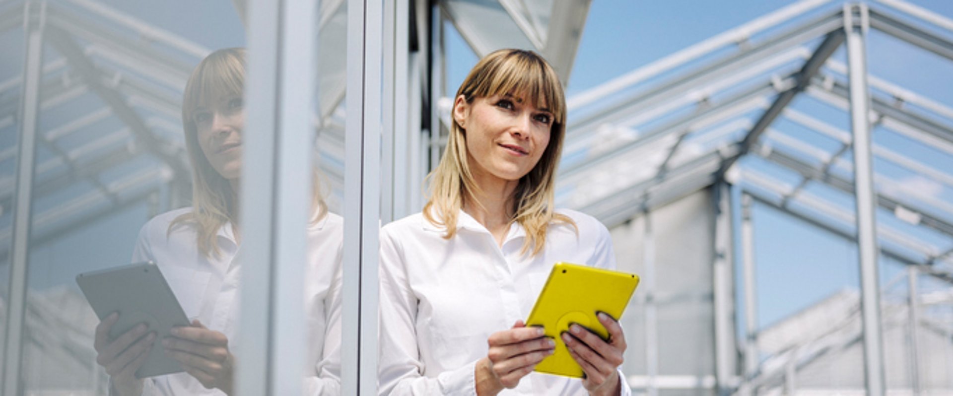 B.i.Team bietet ERP-Lösungen, IT-Consulting und Data-Intelligence-Lösungen für den Groß- und Versandhandel und im Fruchtgroßhandel 