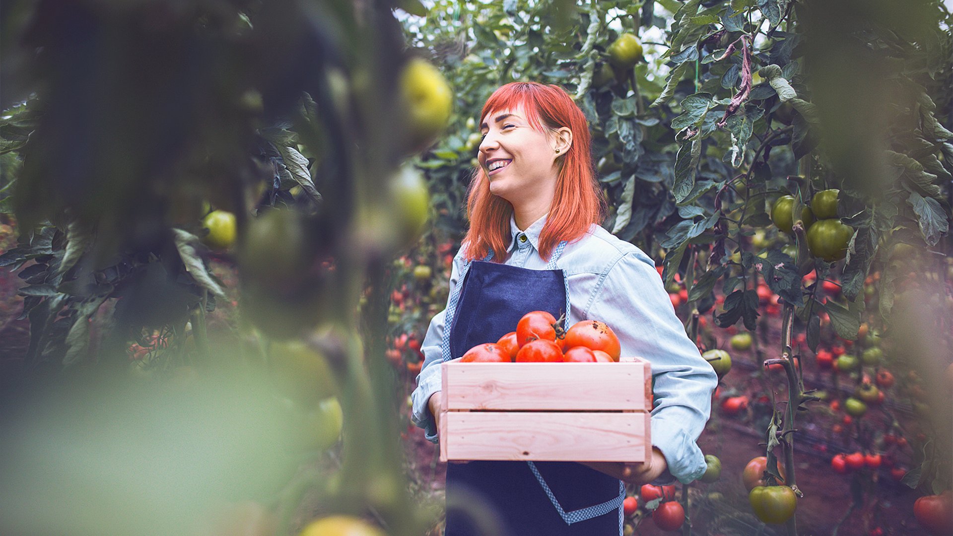 Freshfin ist eine ERP-Branchensoftware für den Fruchtgroßhandel