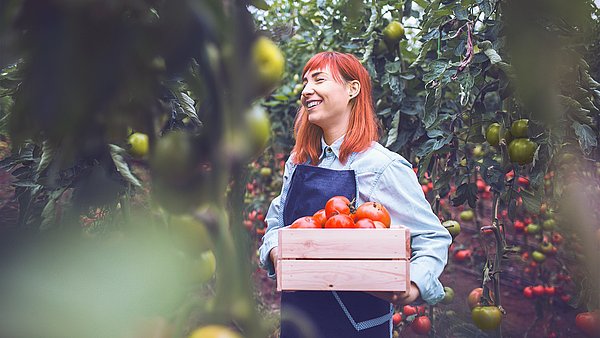 Freshfin ist eine ERP-Branchensoftware für den Fruchtgroßhandel