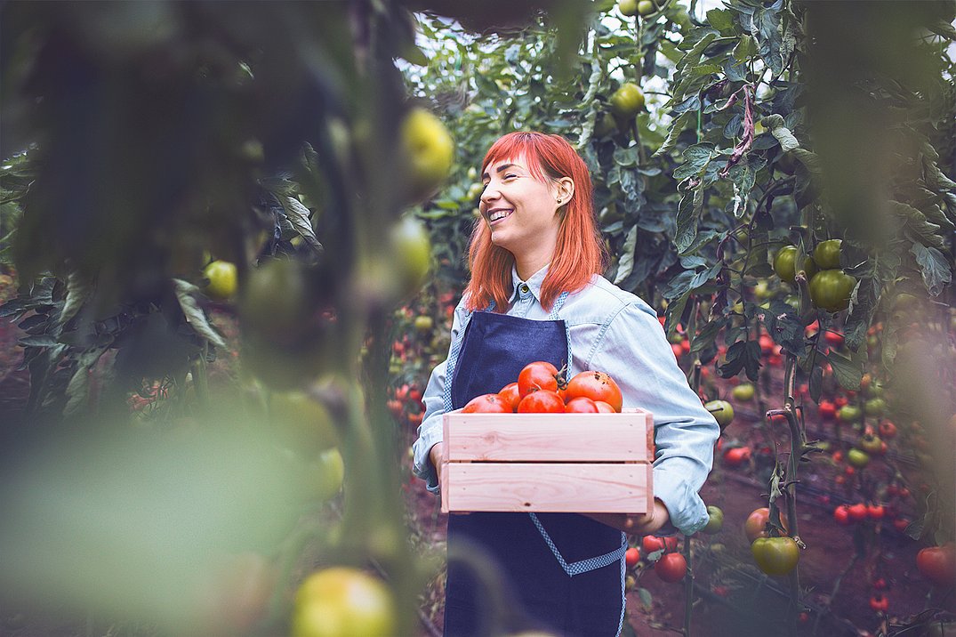 Freshfin ist eine ERP-Branchensoftware für den Fruchtgroßhandel