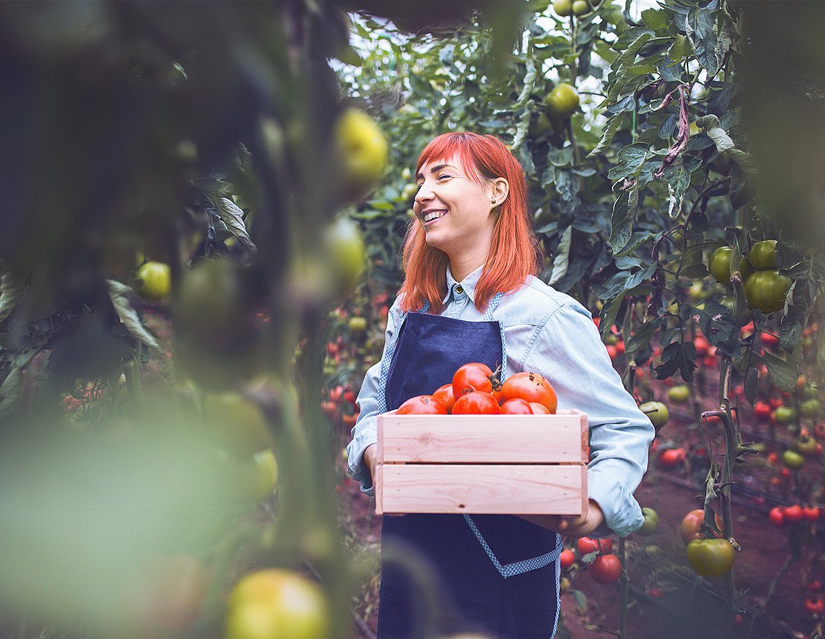 Landwirtin mit geernteten Tomaten
