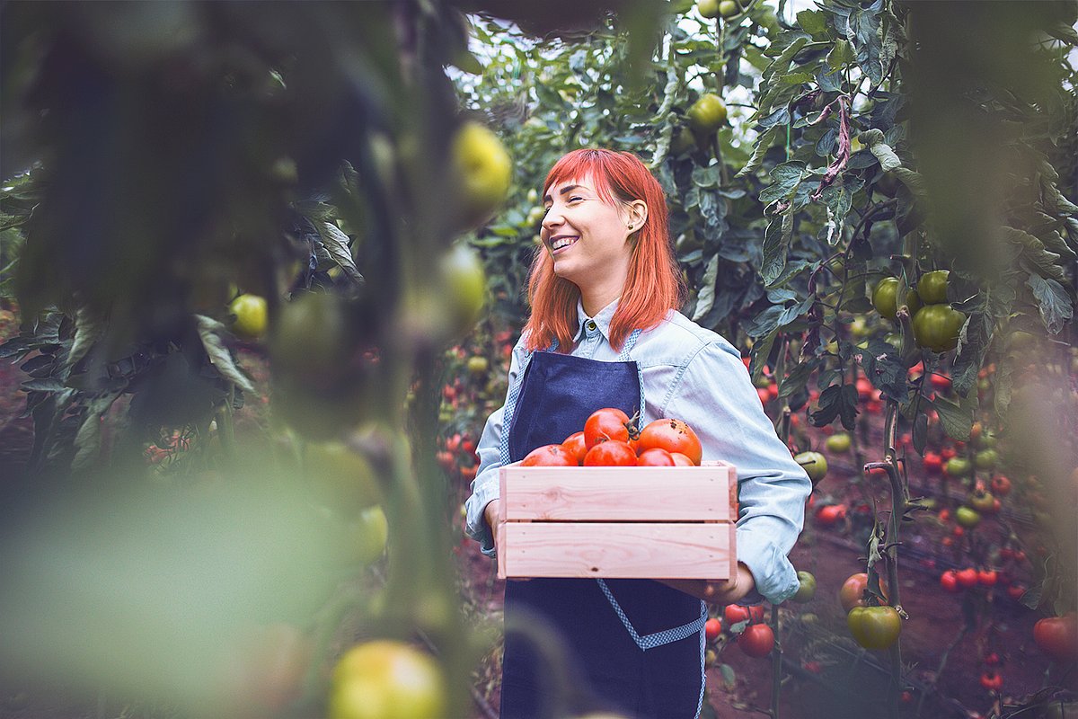 Freshfin ist eine ERP-Branchensoftware für den Fruchtgroßhandel