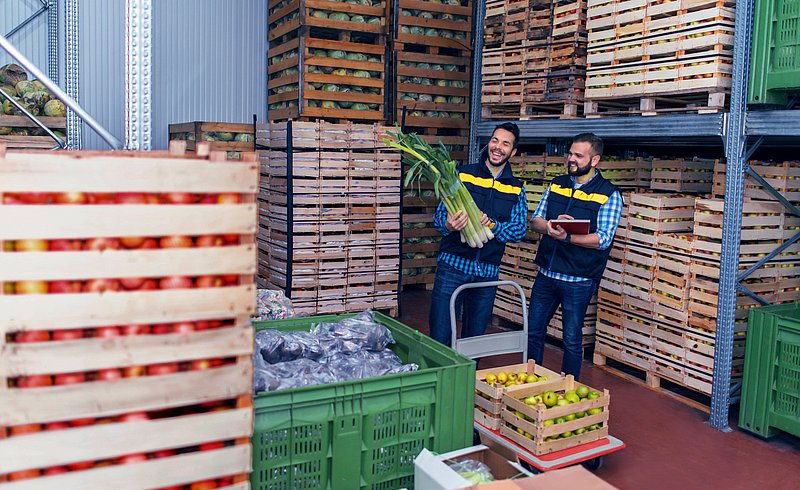 Mitarbeitende im Fruchthandel nutzen KI-gestützte Qualitätsprüfung beim Wareneingang