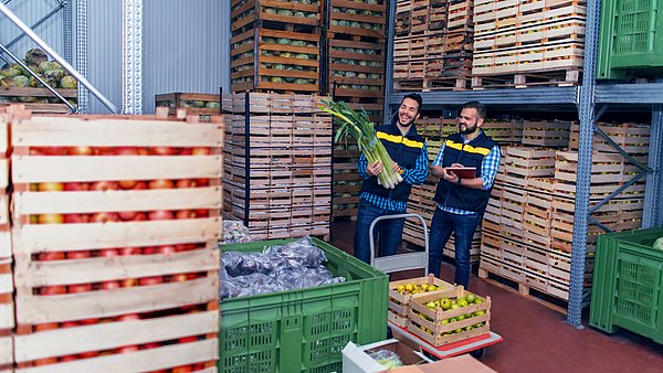 Mitarbeitende im Fruchthandel nutzen KI-gestützte Qualitätsprüfung beim Wareneingang