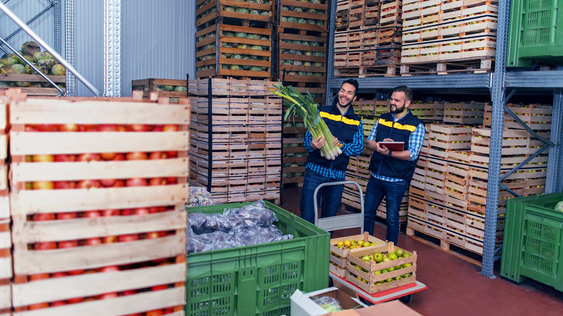 Mitarbeitende im Fruchthandel nutzen KI-gestützte Qualitätsprüfung beim Wareneingang