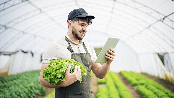Landwirt prüft Preisschwankungen von Salat auf seinem Tablet