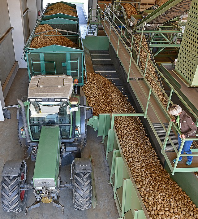 Ein Traktor liefert Kartoffeln bei Agropa an