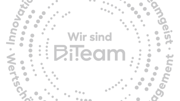 Unternehmenswerte bei B.i.Team