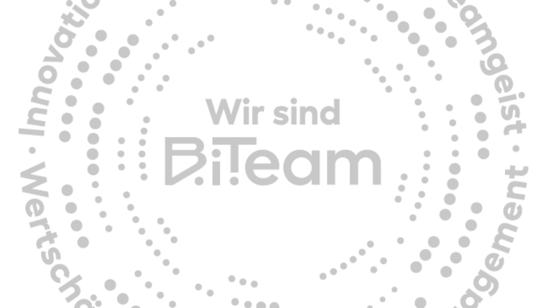 Unternehmenswerte bei B.i.Team