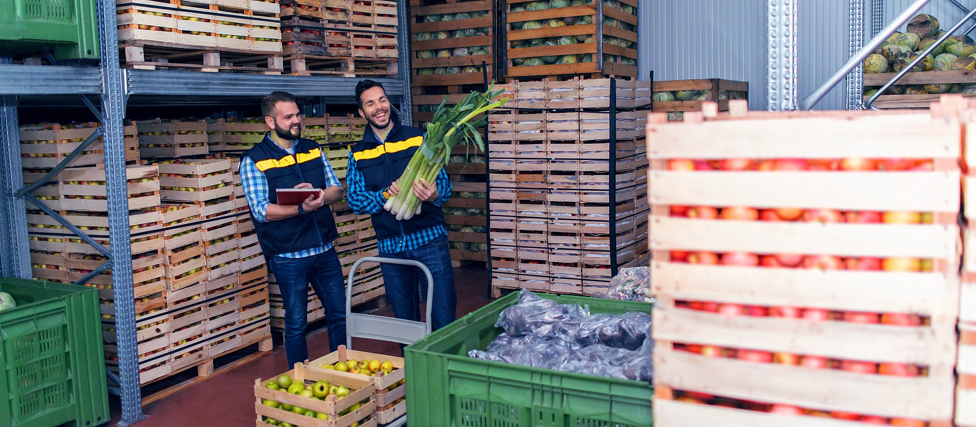 Mitarbeitende mit Bündel Lauch in der Hand nutzen spezialisierte Software für den Fruchtgroßhandel für ihr Finanzwesen